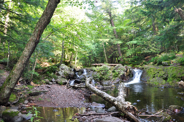 Greenstone Falls and Little Carp River